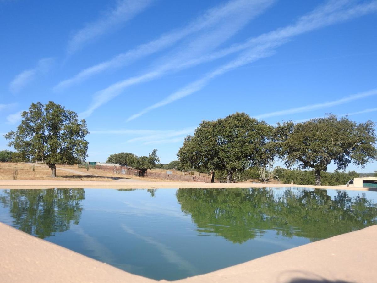 Eco-Lodge En La Reserva Privada Campanarios De Azaba - Proyecto De Conservacion Espeja Exteriör bild