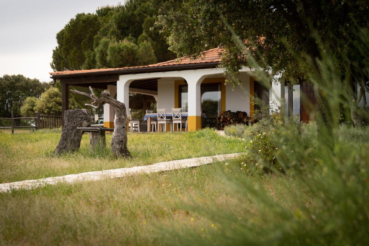 Eco-Lodge En La Reserva Privada Campanarios De Azaba - Proyecto De Conservacion Espeja Exteriör bild