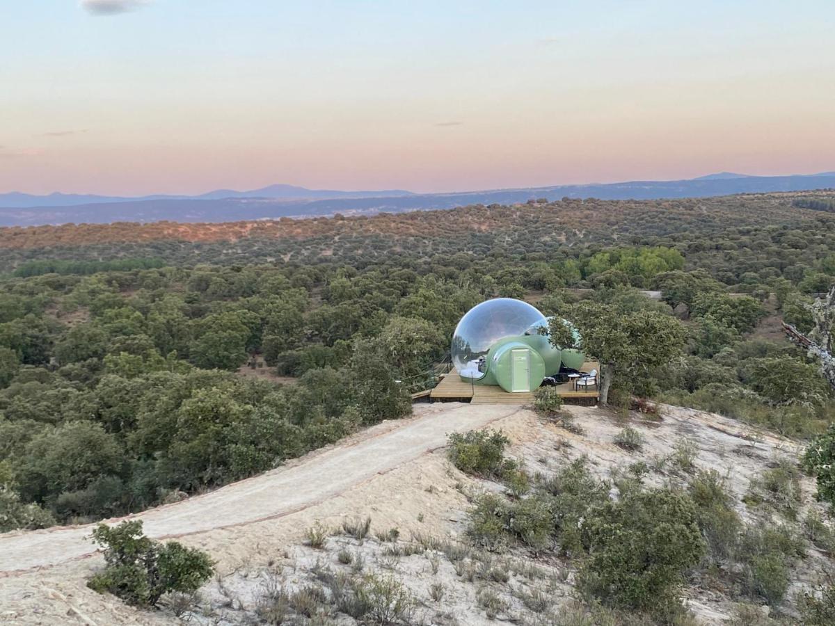 Eco-Lodge En La Reserva Privada Campanarios De Azaba - Proyecto De Conservacion Espeja Exteriör bild