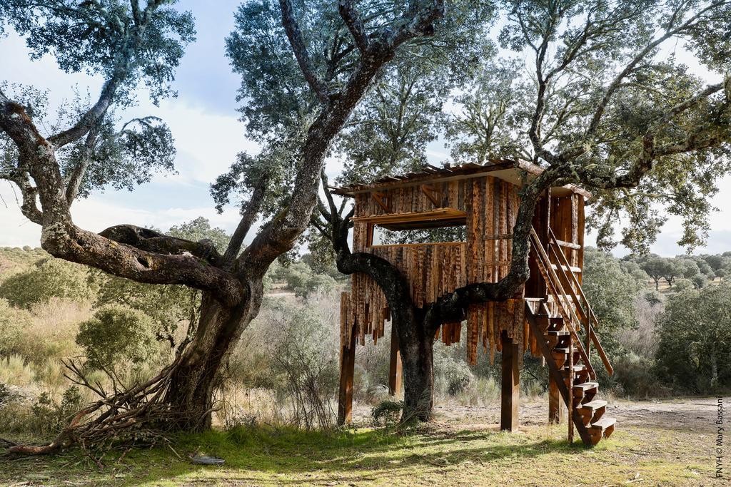 Eco-Lodge En La Reserva Privada Campanarios De Azaba - Proyecto De Conservacion Espeja Exteriör bild
