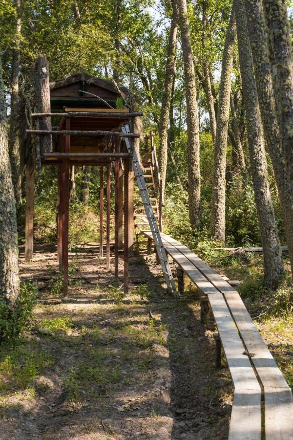 Eco-Lodge En La Reserva Privada Campanarios De Azaba - Proyecto De Conservacion Espeja Exteriör bild