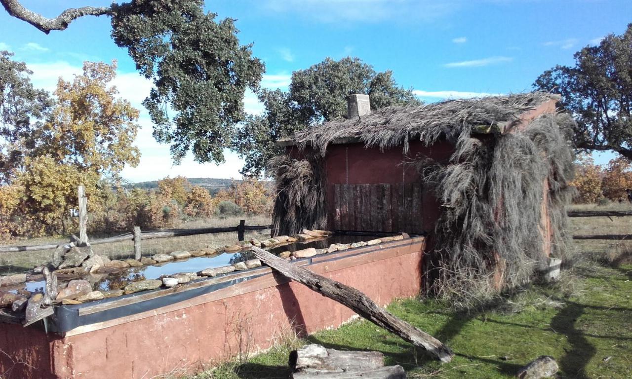 Eco-Lodge En La Reserva Privada Campanarios De Azaba - Proyecto De Conservacion Espeja Exteriör bild